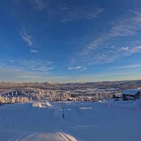 Toppvillan - Ski In - Ski Out - 200 M Till Toppen Och Cykelleder Järvsö Εξωτερικό φωτογραφία